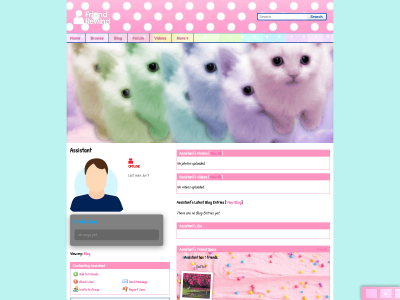 Layout Preview