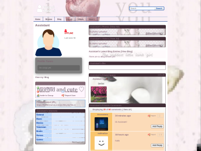 Layout Preview