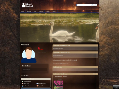 Layout Preview