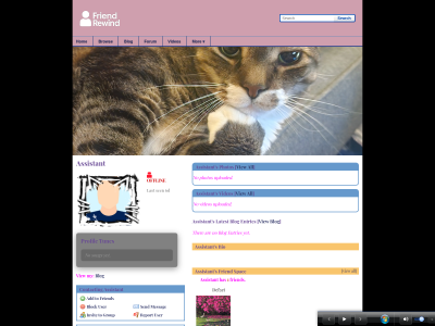 Layout Preview