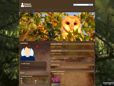 Layout Preview