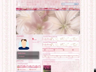 Layout Preview