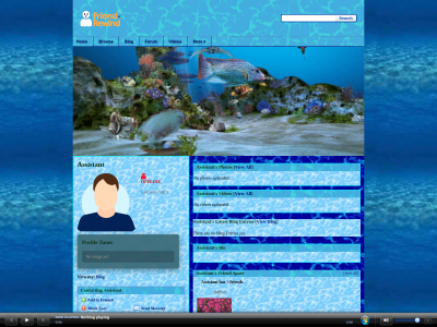 Layout Preview