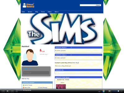 The Sims