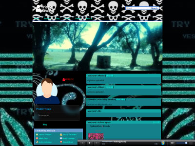 Layout Preview