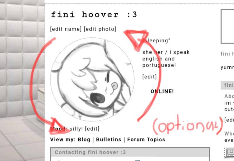 Layout Preview
