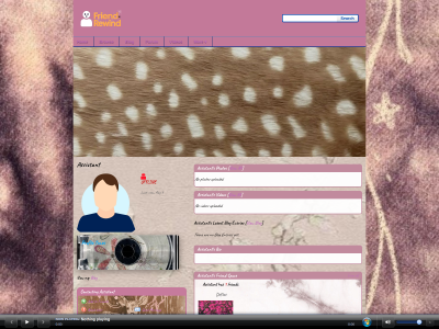 Layout Preview