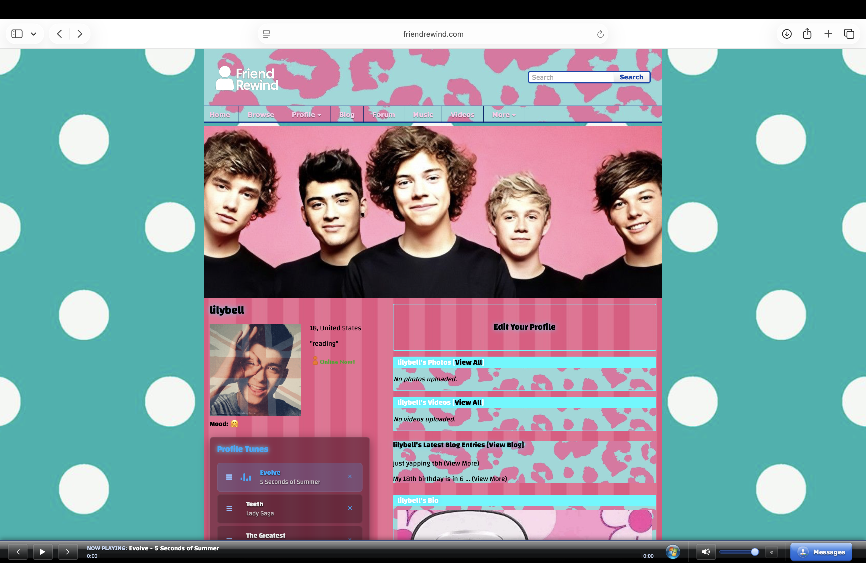 Layout Preview