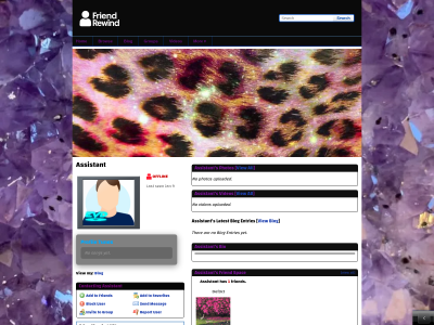 Layout Preview