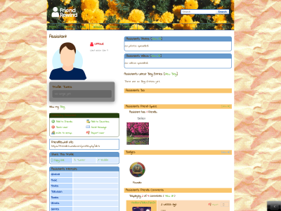 Layout Preview