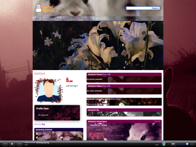 Layout Preview