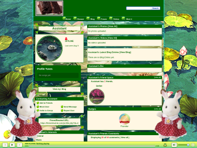 Layout Preview
