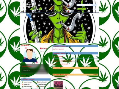 Layout Preview