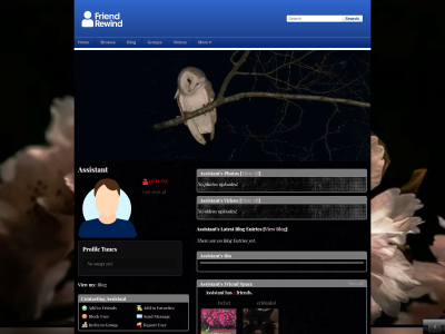 Layout Preview