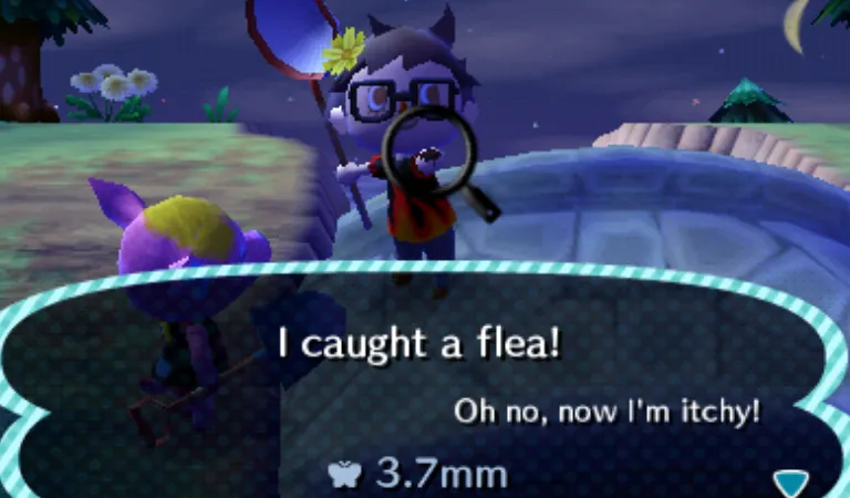 flea