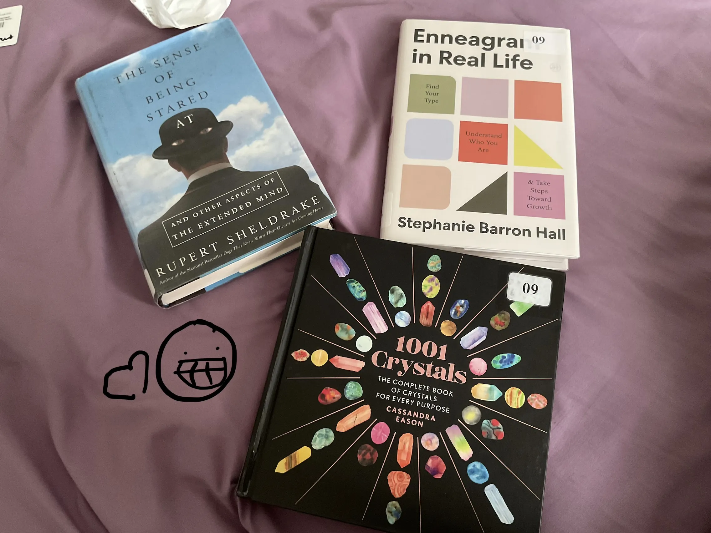 A picture of three books, the first says ‘The sense of being stared at’, the second says ‘1001 crystals, the complete book of crystals for every purpose’, the last says ‘Enneagram in real life’.