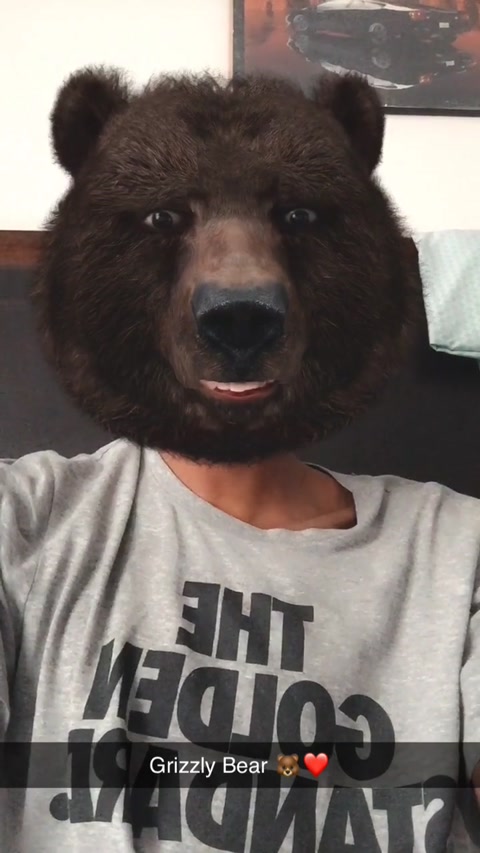 Grizzly Bear🐻❤️