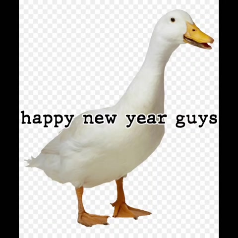 happy new year (January 01, 2026)