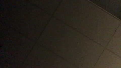 rise and shine!

the room was so dark I couldn’t see a sheet of paper lol