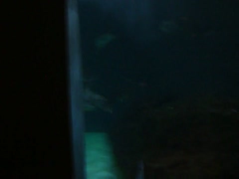 random video i found on my moms camera