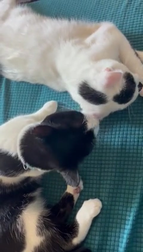 video