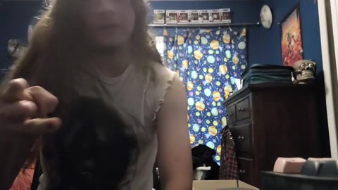 Intro video (sorry it sucks)