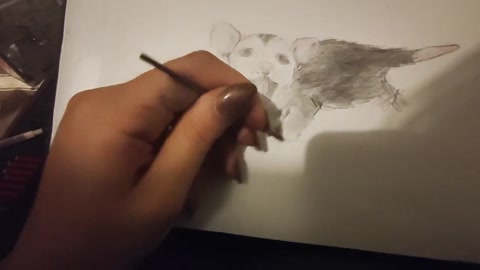 Drawing an opposum