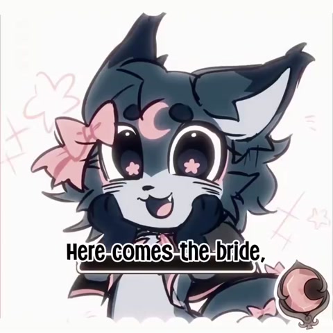 SHIP EDITT (Song name: Bridezilla)