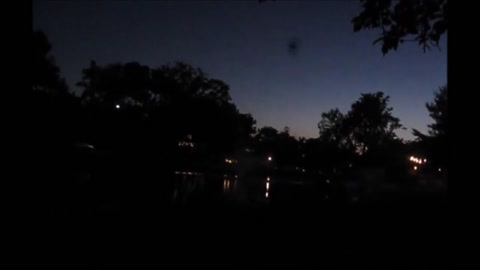 watching bats fly around