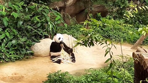 At the zoo -\\-