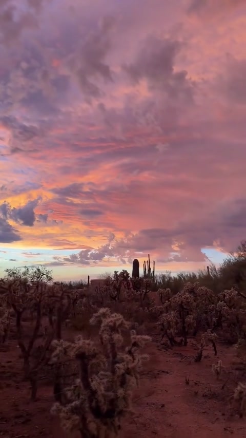 Glorius Desert Sunset