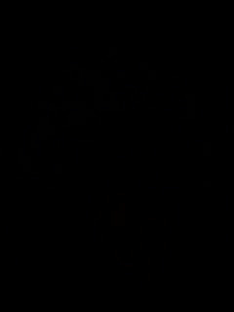 LITERALLY in the dark