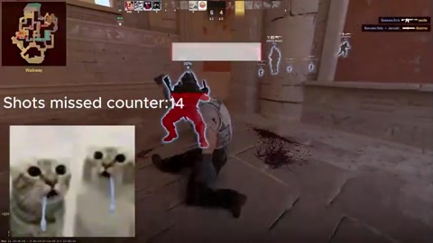 Horrible Teammate in CS2