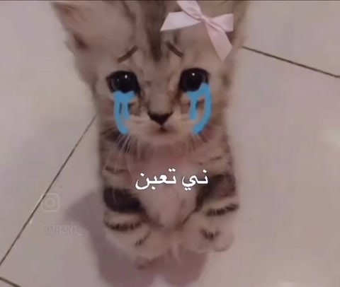 ني تعبن
