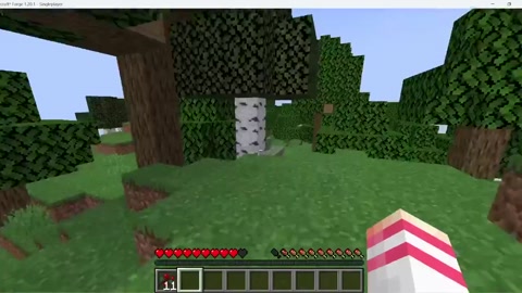 Why did i hallucinate twice and then get flashed