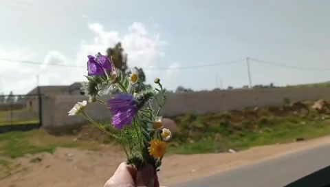 Traveling with flowers and love