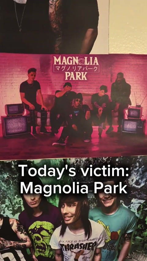 Magnolia Park - Allegations?
