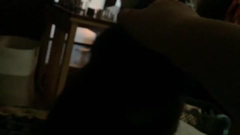 Kitty