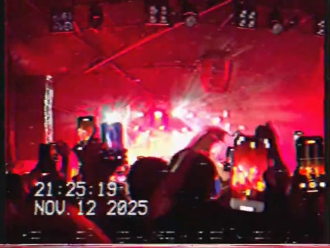 tracy concert last november