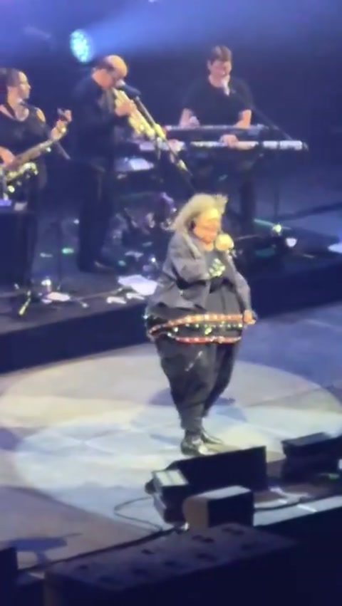 Weird al singing fat at a concert