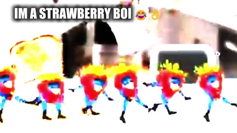 im lolwutermelon boi