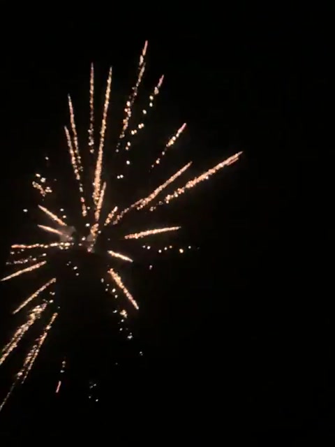 🎆