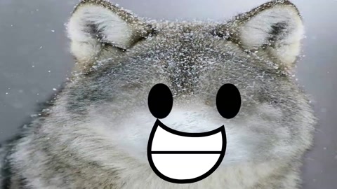 fox bfdi yeah