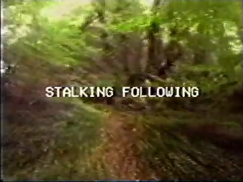 Stalking Following - Analog Horror