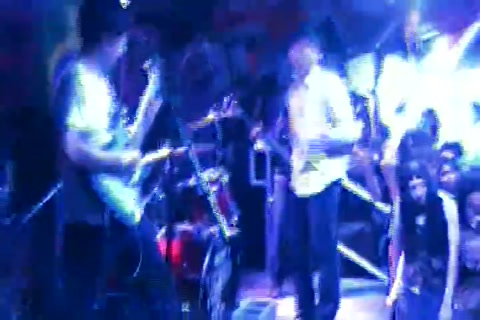 Salvinorin-A clip