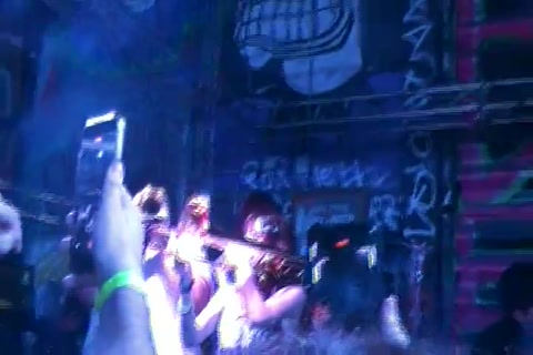 Dead butterflies clip