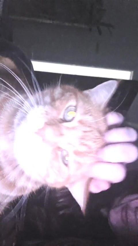 my kittyyyyyyyyyyyyyyyy