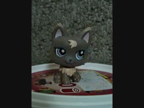 my LPS collection!