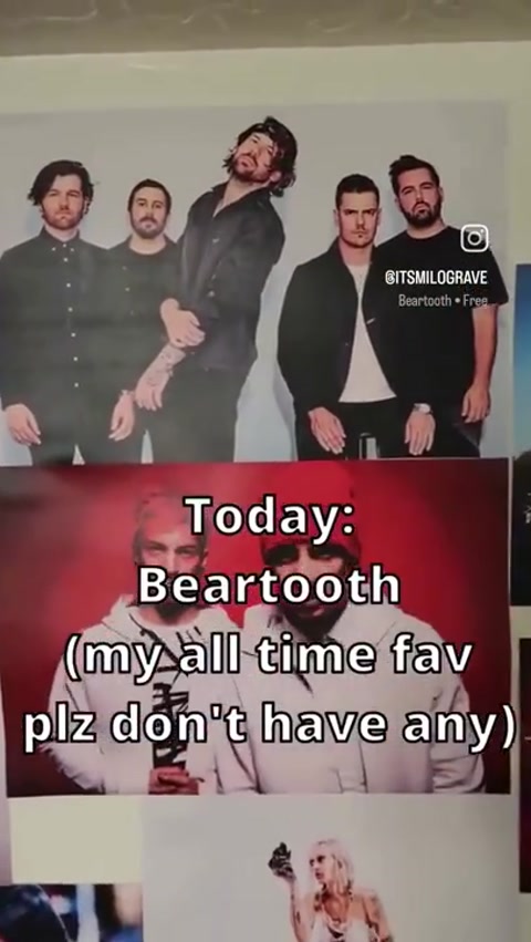 Beartooth - Allegations?