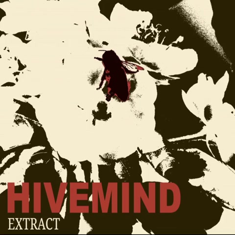 HIVEMIND - EXTRACT